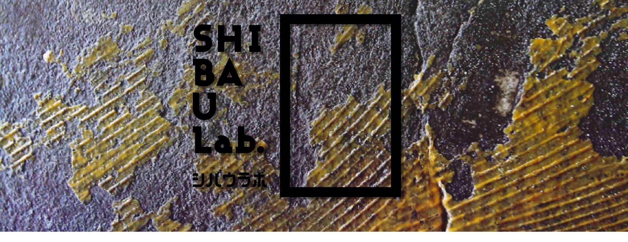 トークイベント×ビジネス交流会【SHIBAULab.（シバウラボ）＃04】