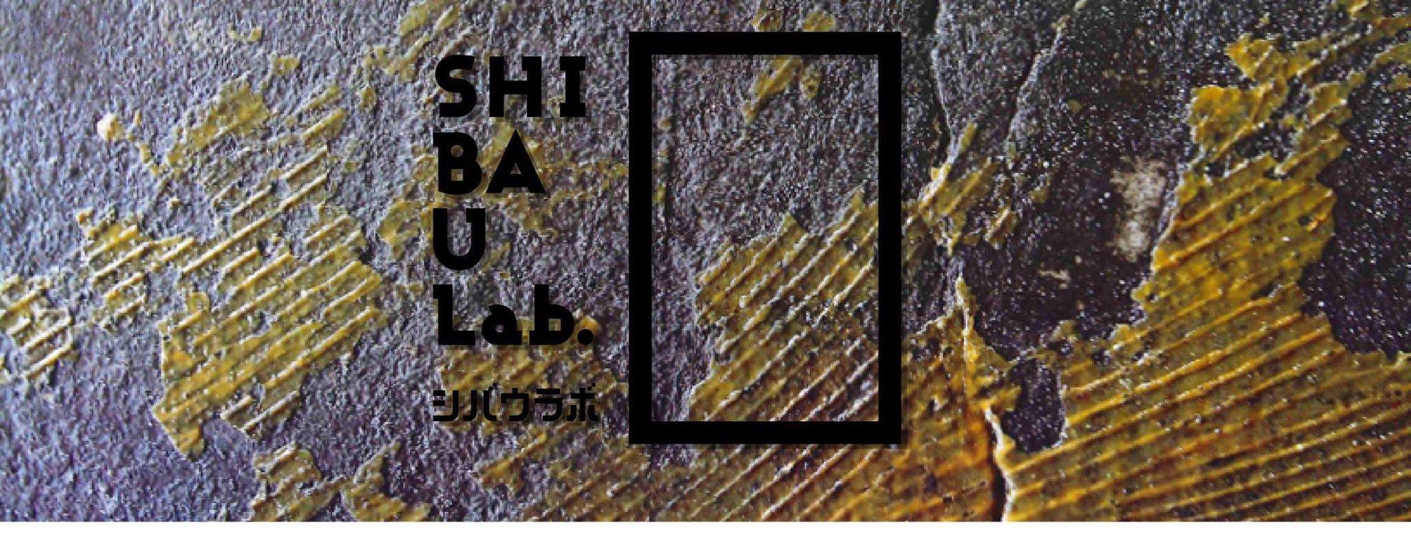 トークイベント×ビジネス交流会【SHIBAULab.（シバウラボ）＃05】「新しい働き方と僕らの未来」