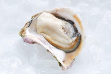 【2月のお知らせ】イベント情報 / スタッフ不在日について