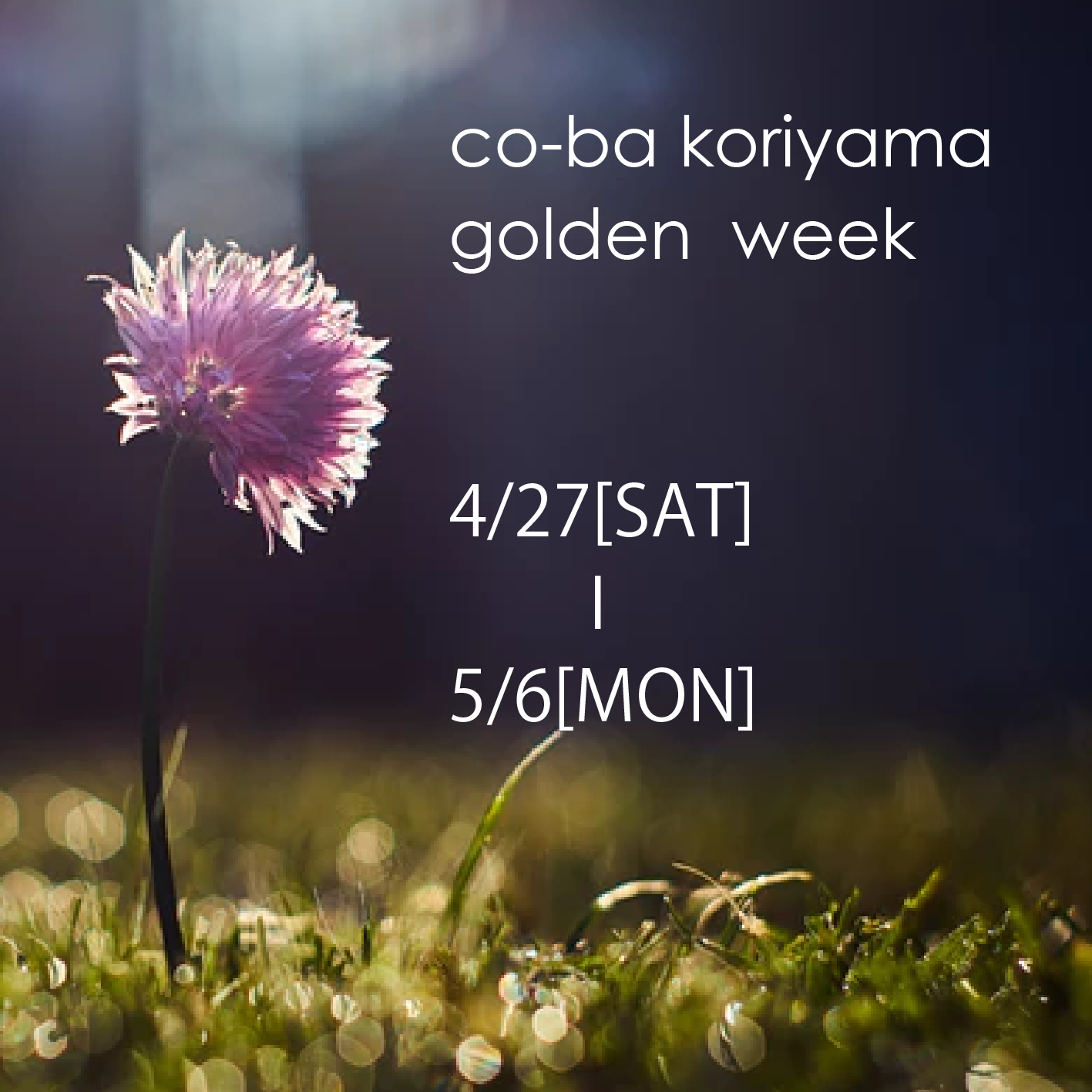 ゴールデンウィークのお休みについて