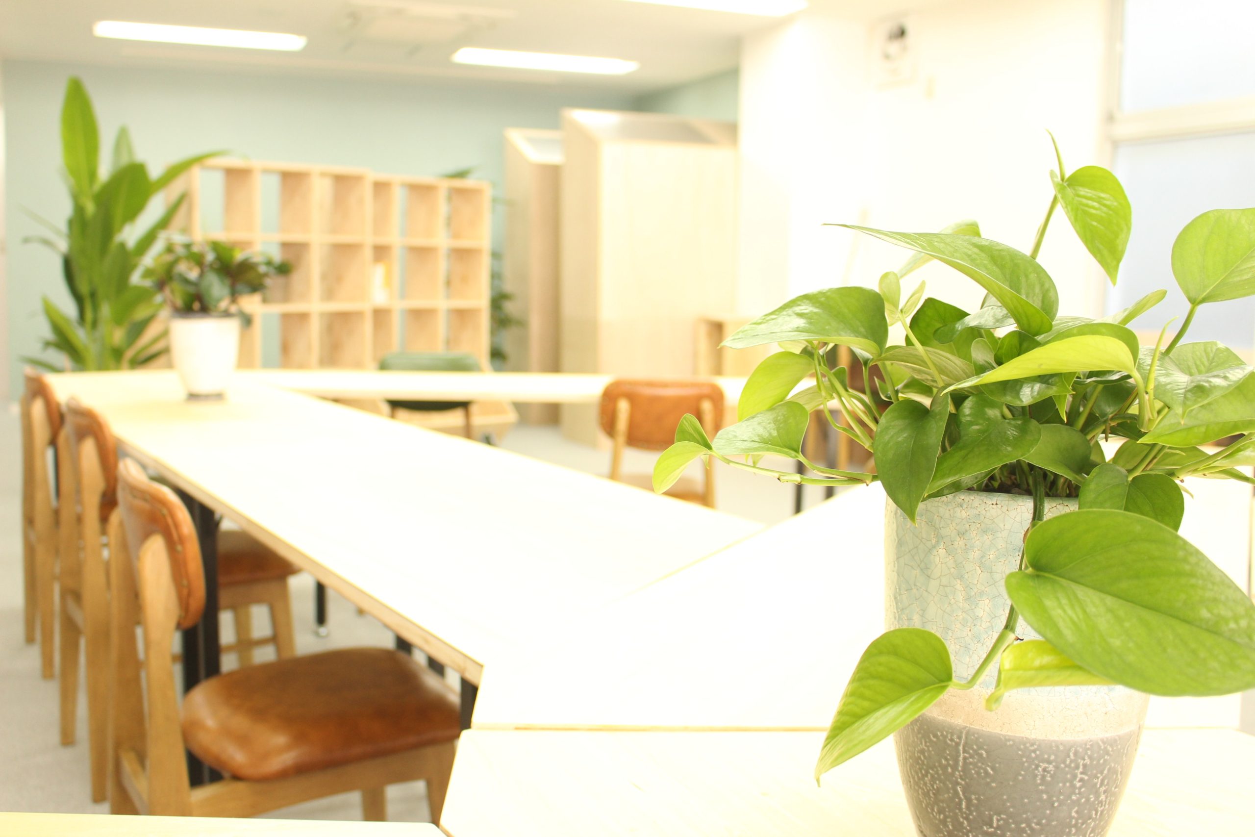 co-ba CHOFU 2021年4月からの新会員プラン