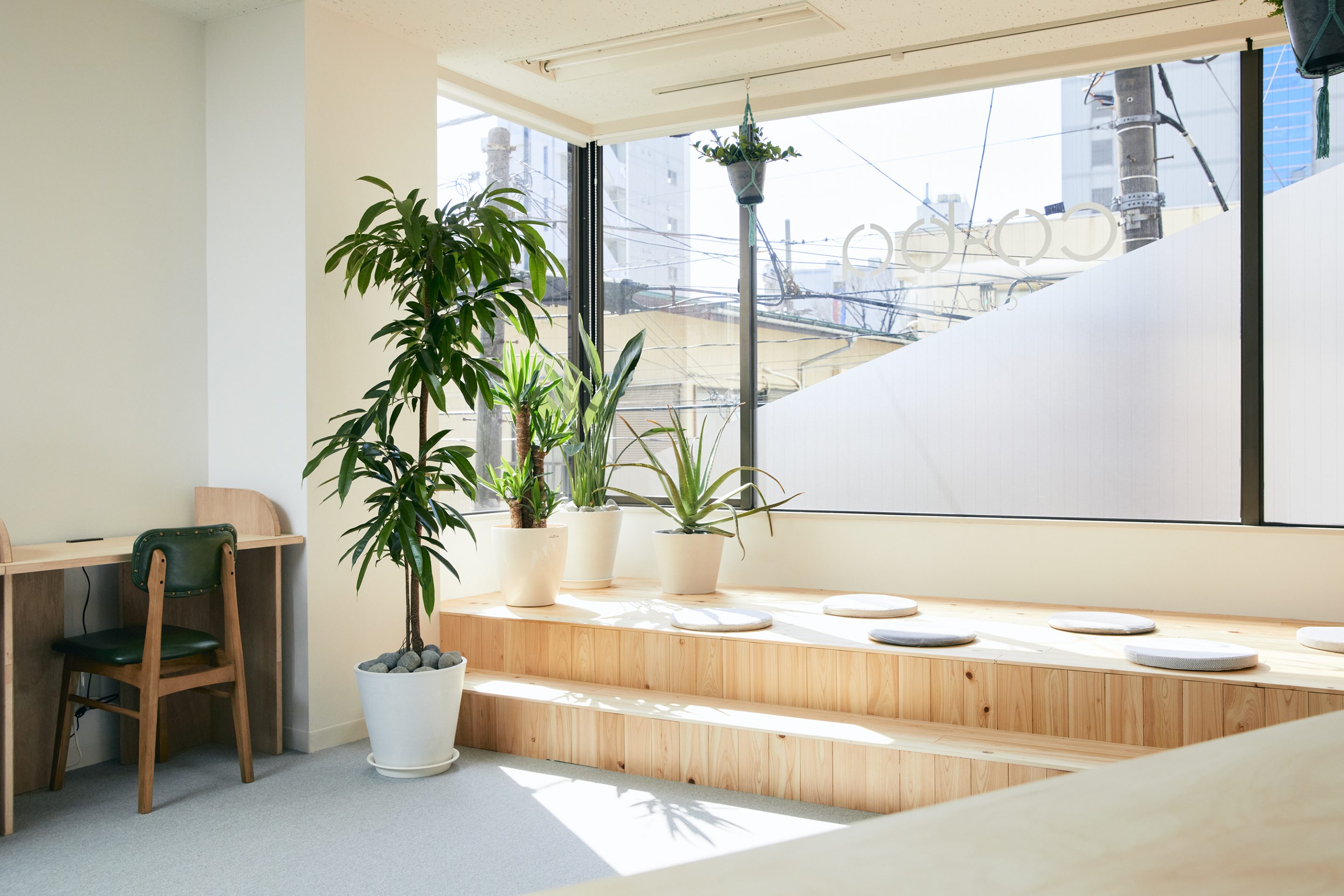 2021年6月よりバーチャル会員プランを新設