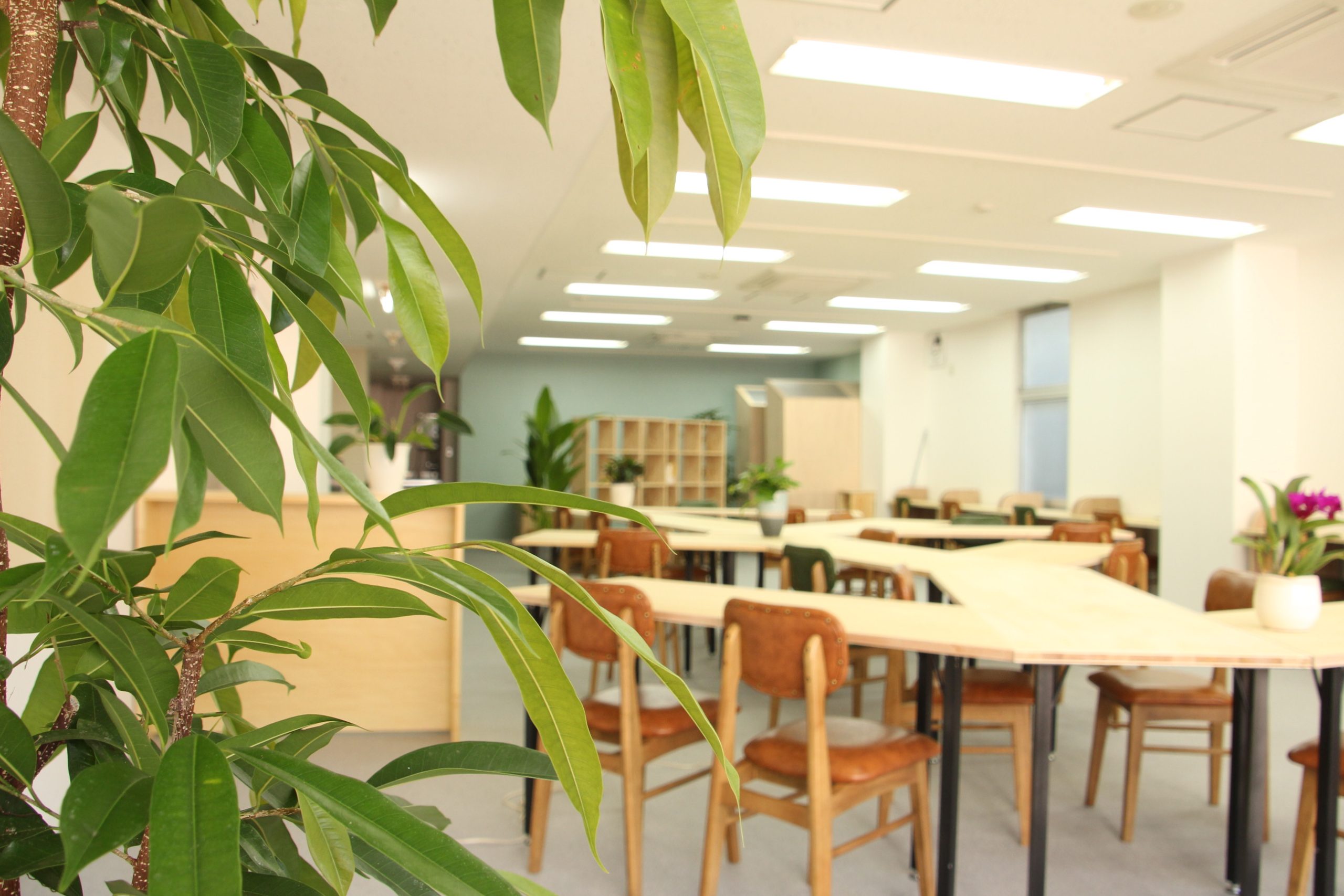 2021年5月12日以降の運営ついて