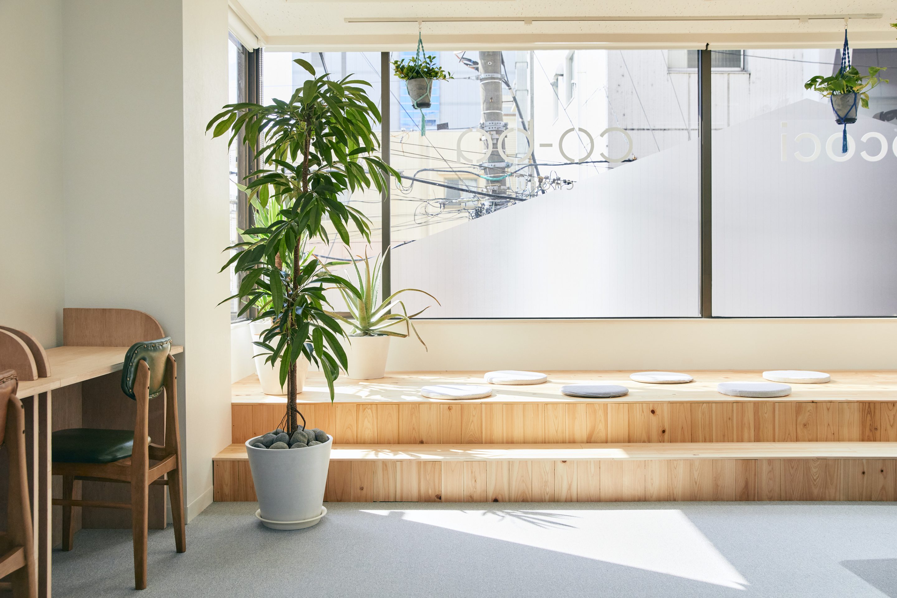 ドロップイン・新規入会受付の見合わせについて