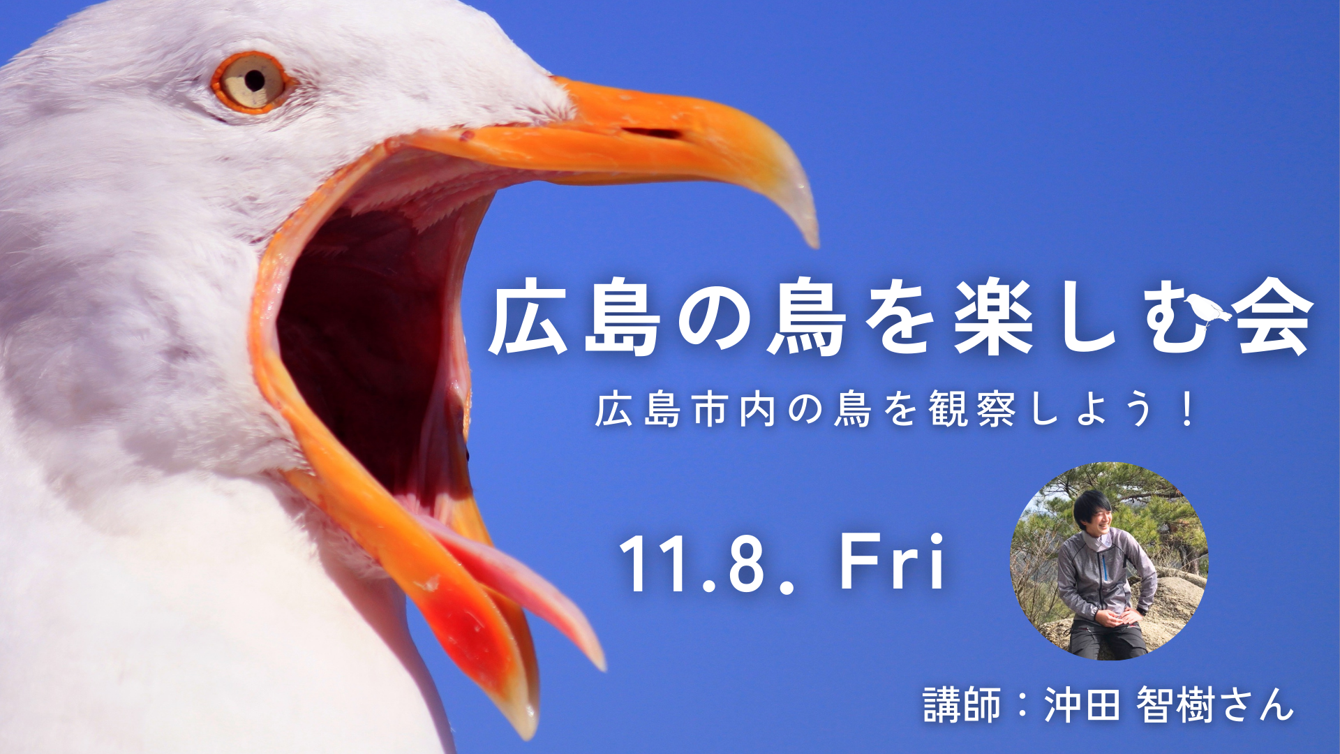 【11月8日開催】広島の鳥を楽しむ会